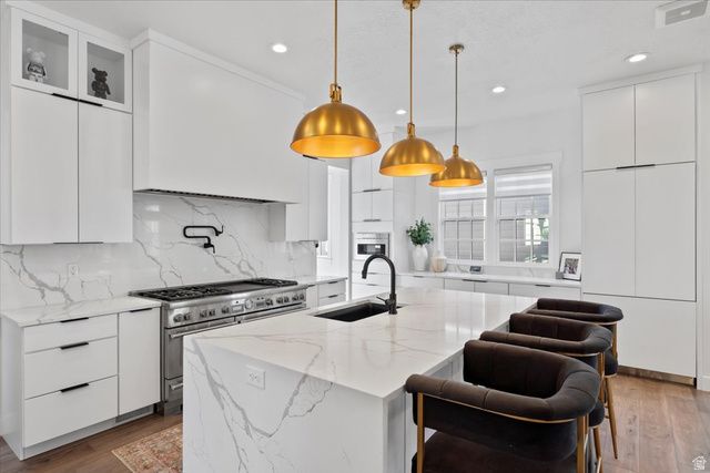 11064 S PADDLE BOARD WAY, South Jordan, UT 84009