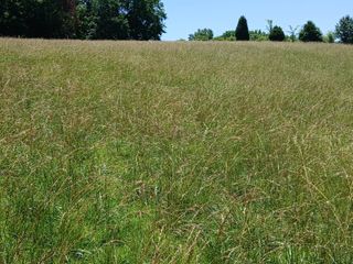 0 Lockertsville Road, Ashland City, TN 37015