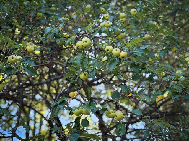 39245 Hyde Lake Road, Theresa, NY 13691