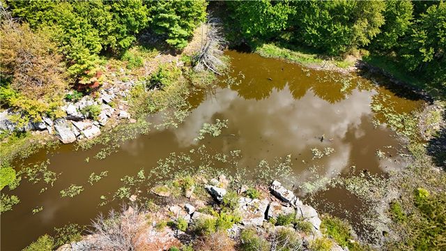 39245 Hyde Lake Road, Theresa, NY 13691