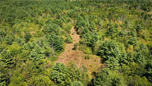 39245 Hyde Lake Road, Theresa, NY 13691