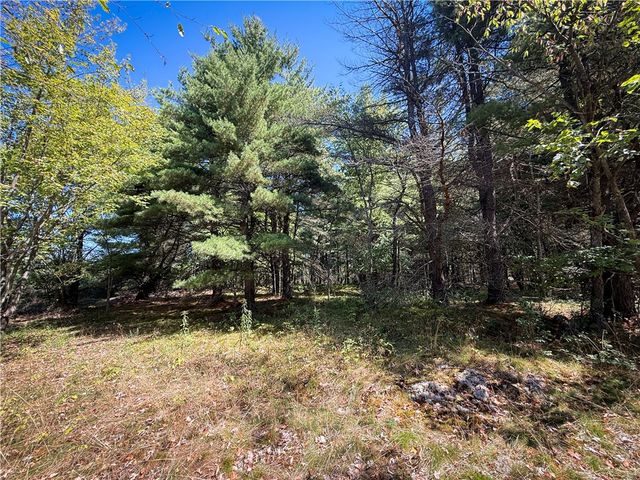 39245 Hyde Lake Road, Theresa, NY 13691