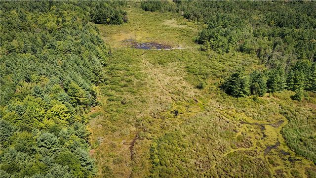 39245 Hyde Lake Road, Theresa, NY 13691