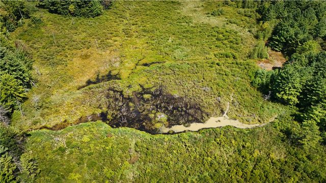 39245 Hyde Lake Road, Theresa, NY 13691