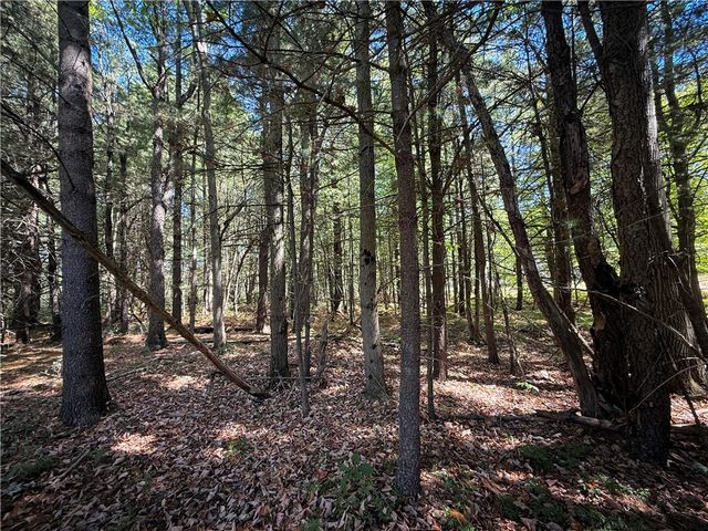 39245 Hyde Lake Road, Theresa, NY 13691