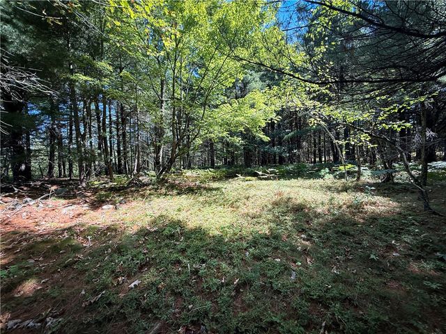 39245 Hyde Lake Road, Theresa, NY 13691