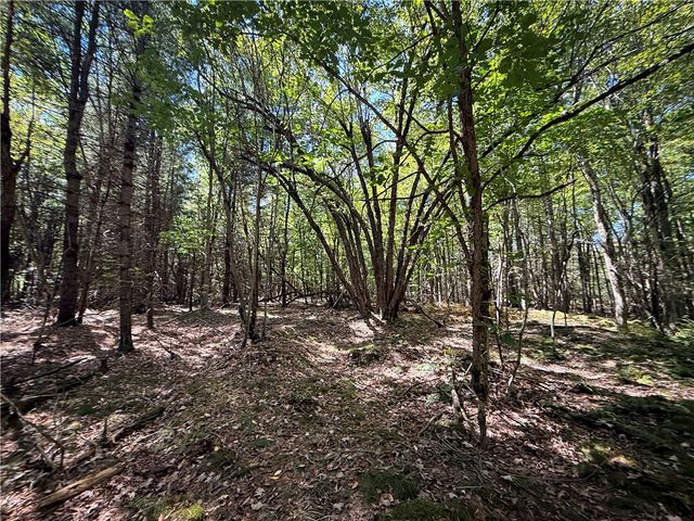 39245 Hyde Lake Road, Theresa, NY 13691