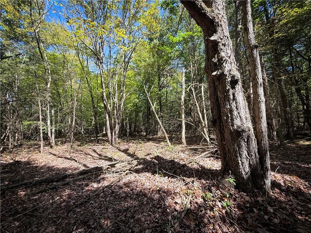 39245 Hyde Lake Road, Theresa, NY 13691