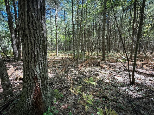 39245 Hyde Lake Road, Theresa, NY 13691