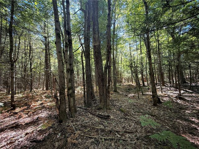 39245 Hyde Lake Road, Theresa, NY 13691