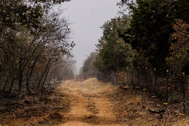 2946 FM 52, Oran, TX 76449