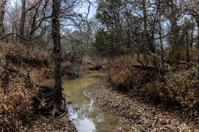 2946 FM 52, Oran, TX 76449