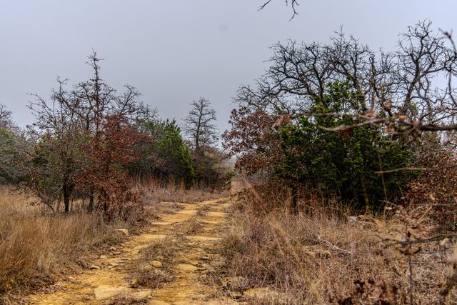 2946 FM 52, Oran, TX 76449