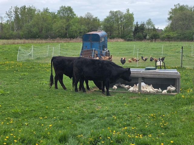 823 WESTERN AVENUE, Antigo, WI 54409