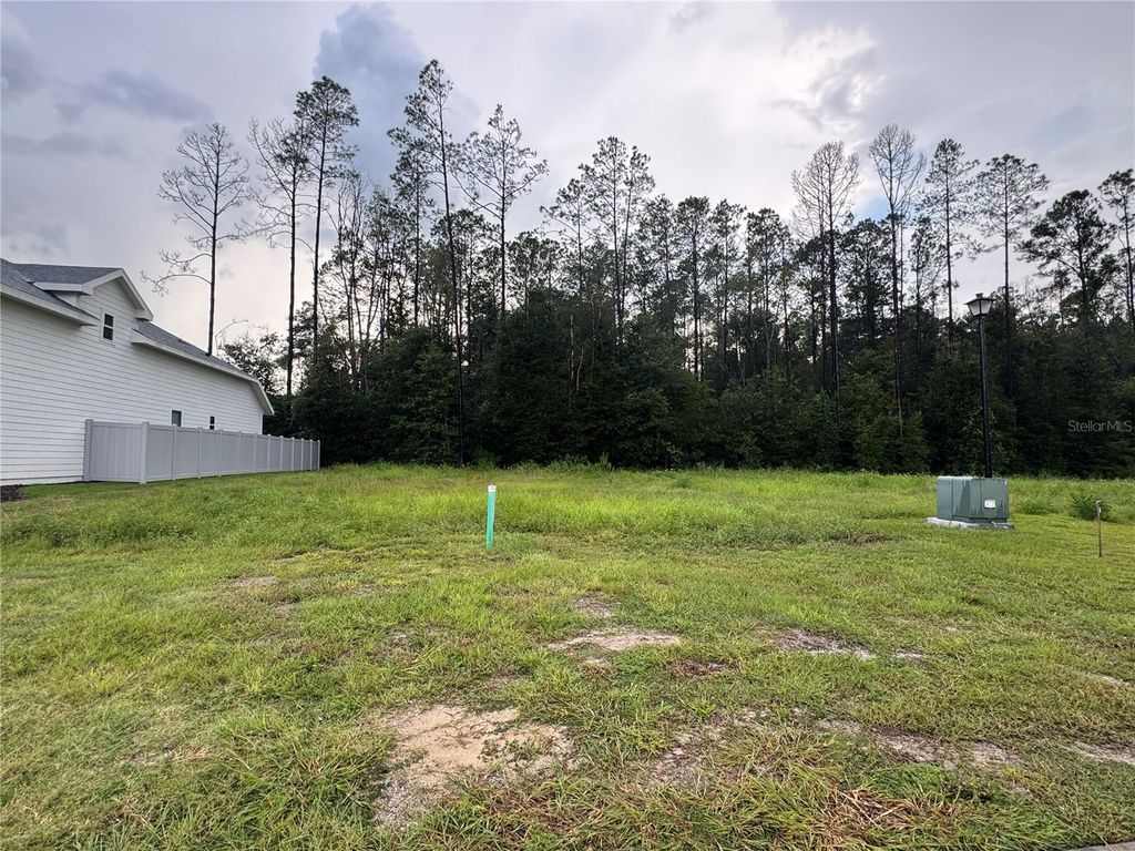 Image 4 of property listing at 838 SW 145TH DRIVE, Newberry, FL 32669