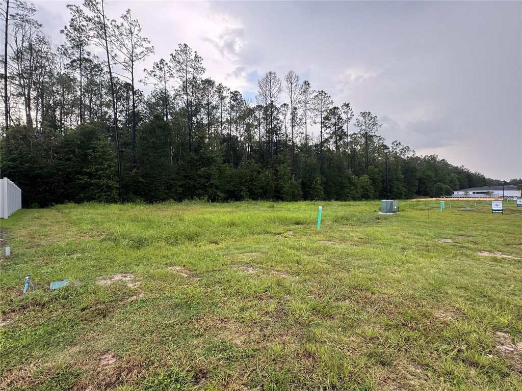 Image 5 of property listing at 838 SW 145TH DRIVE, Newberry, FL 32669