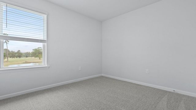 1162 Mulligan Drive, Manning, SC 29102