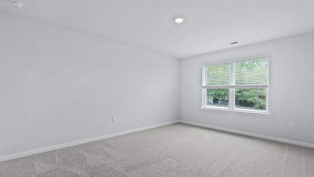 1162 Mulligan Drive, Manning, SC 29102