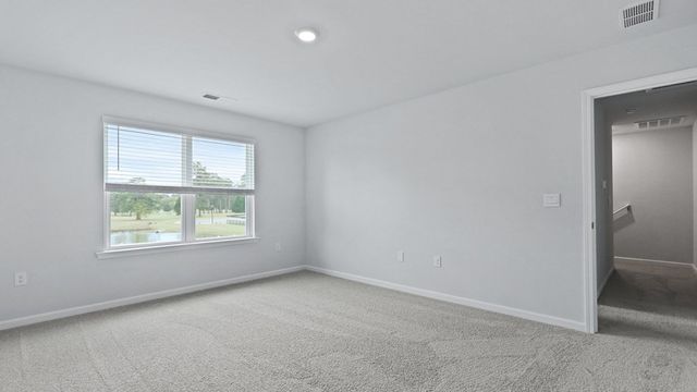 1162 Mulligan Drive, Manning, SC 29102