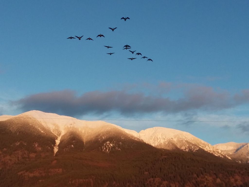 200 & 190 Weaver Lane, Kalispell, MT 59901 photo 50