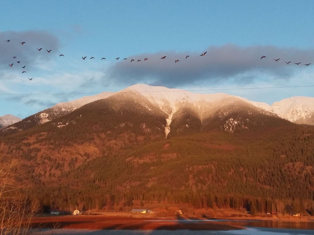 200 & 190 Weaver Lane, Kalispell, MT 59901 photo 51