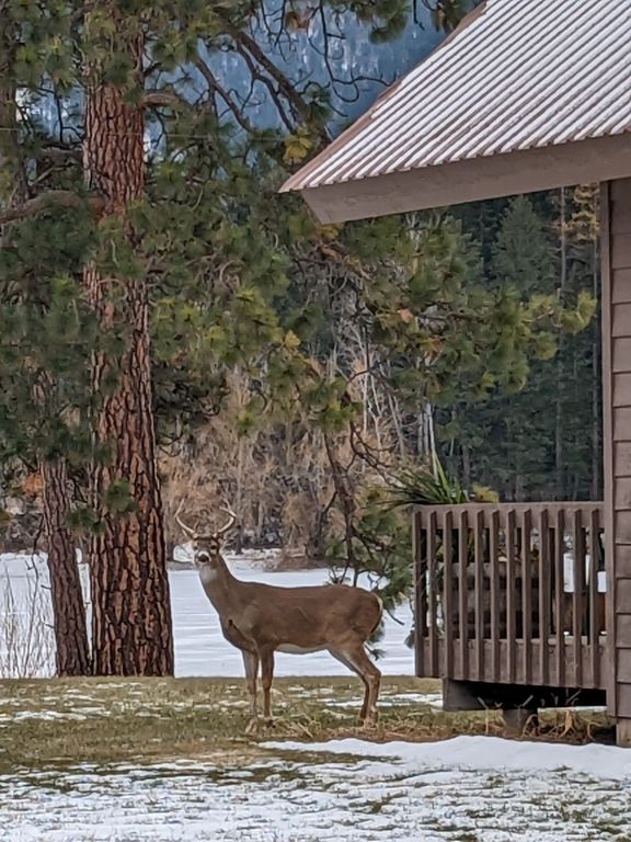 200 & 190 Weaver Lane, Kalispell, MT 59901 photo 52