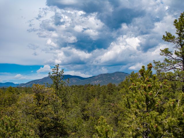 22 Madre De Dios, Santa Fe, NM 87505