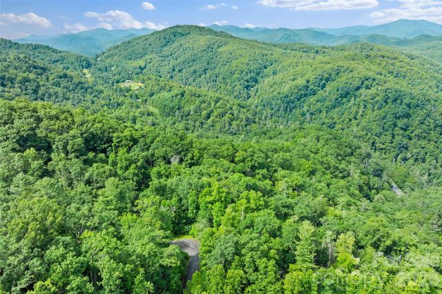 TBD Bear River Lodge Trail 132, Marshall, NC 28753