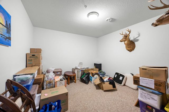 2490 Deer Drive, Stanchfield, MN 55080