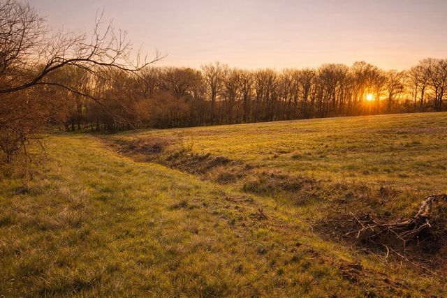 Lot 60 Sunset Court, Corsicana, TX 75109