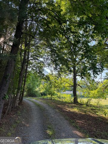 0 Mountain Road, Morganton, GA 30560