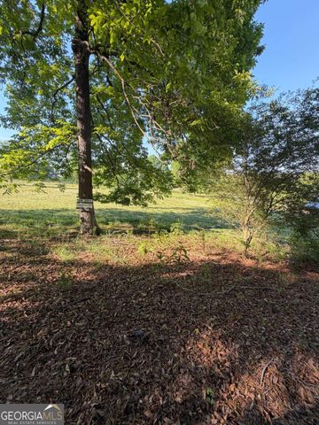 0 Mountain Road, Morganton, GA 30560