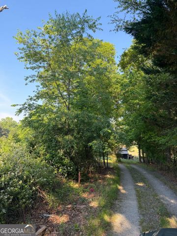 0 Mountain Road, Morganton, GA 30560