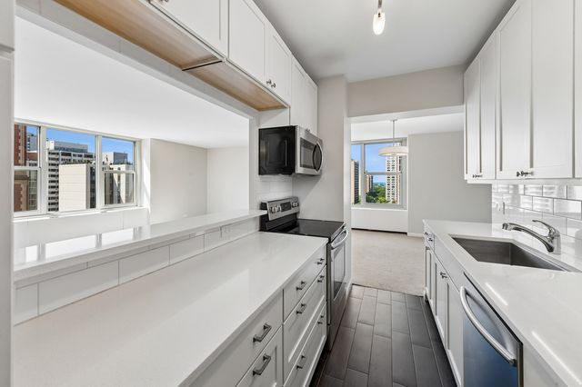 1325 N State Parkway 13B, Chicago, IL 60610