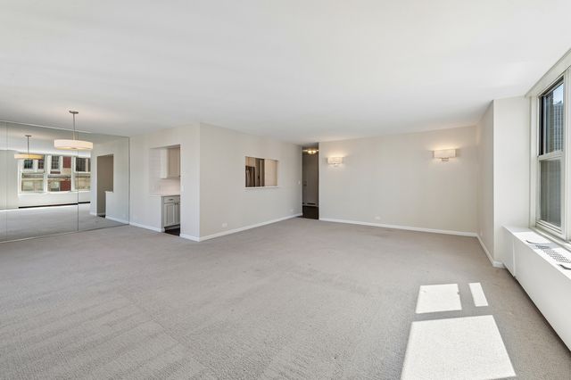 1325 N State Parkway 13B, Chicago, IL 60610
