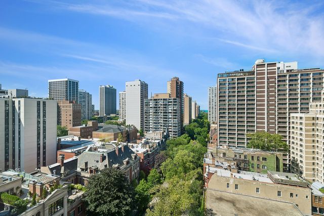 1325 N State Parkway 13B, Chicago, IL 60610