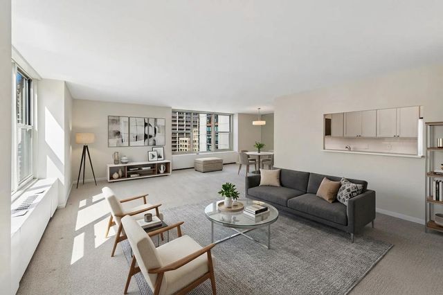 1325 N State Parkway 13B, Chicago, IL 60610