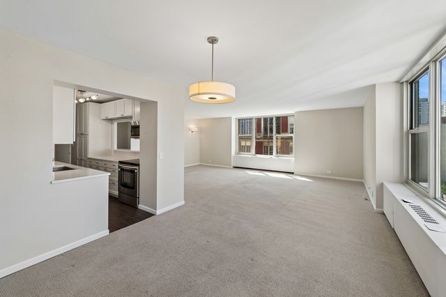 1325 N State Parkway 13B, Chicago, IL 60610