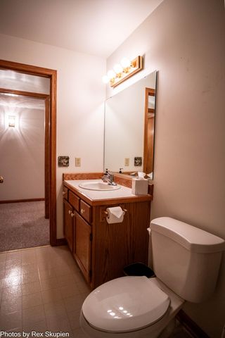 8110 S Basswood Drive, Brooks Twp, MI 49337