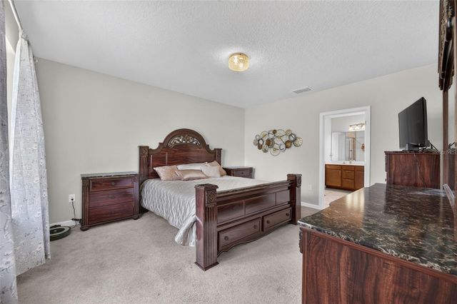 341 WINTER BLISS LANE, Mount Dora, FL 32757