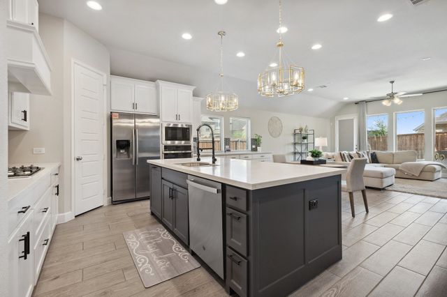 3733 Blue Stream Drive, Little Elm, TX 75068