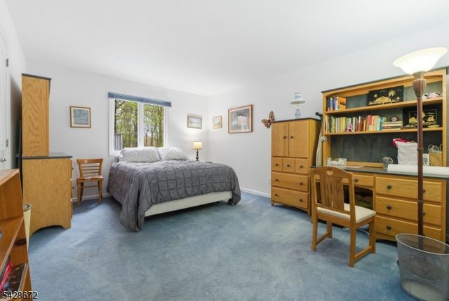 241 Hillside Avenue, Roxbury Twp., NJ 07836