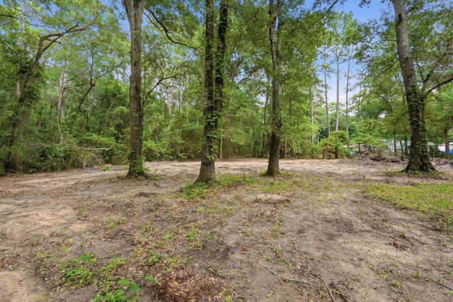 13828 Bronte Courts Drive, Willis, TX 77378