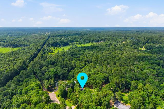 13828 Bronte Courts Drive, Willis, TX 77378