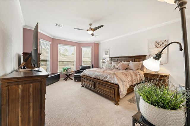 133 Pepper Grass Place, Montgomery, TX 77316