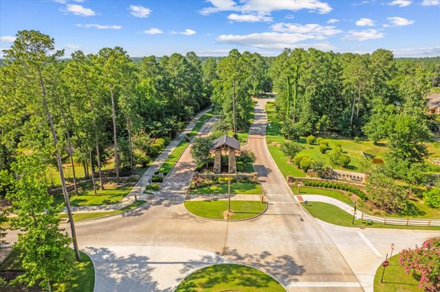 133 Pepper Grass Place, Montgomery, TX 77316