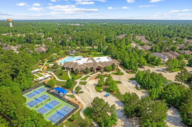 133 Pepper Grass Place, Montgomery, TX 77316