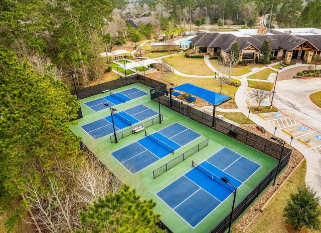 133 Pepper Grass Place, Montgomery, TX 77316