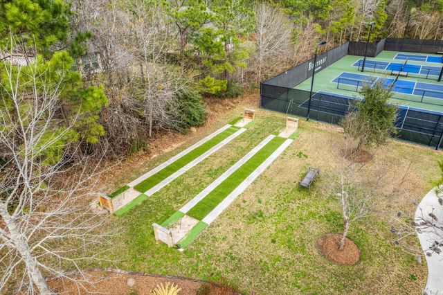 133 Pepper Grass Place, Montgomery, TX 77316