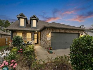 133 Pepper Grass Place, Montgomery, TX 77316